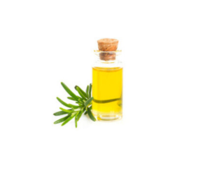 Rosemary Oil