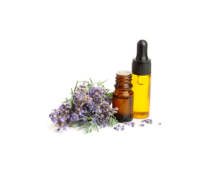 Lavender Essential Oil